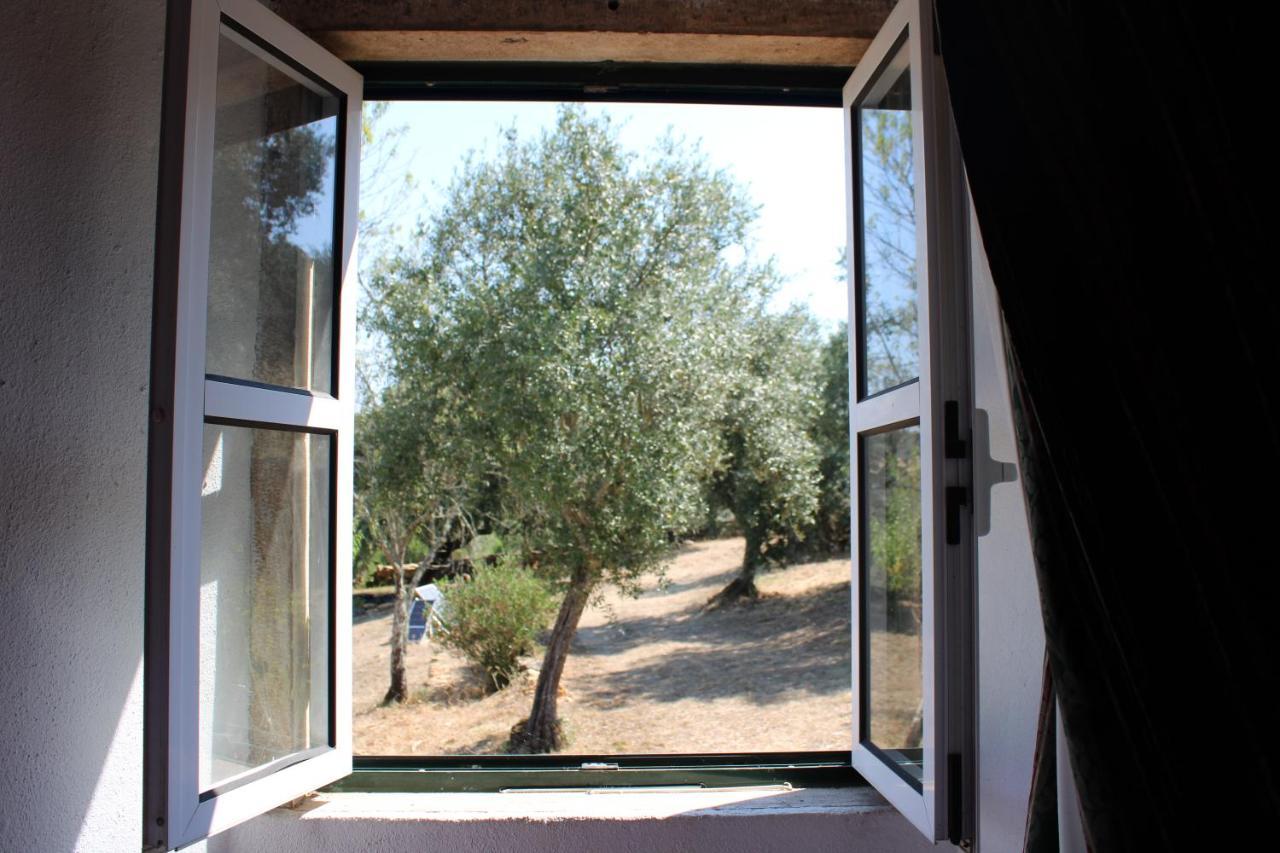 Casa Dos Terranhos Holiday home