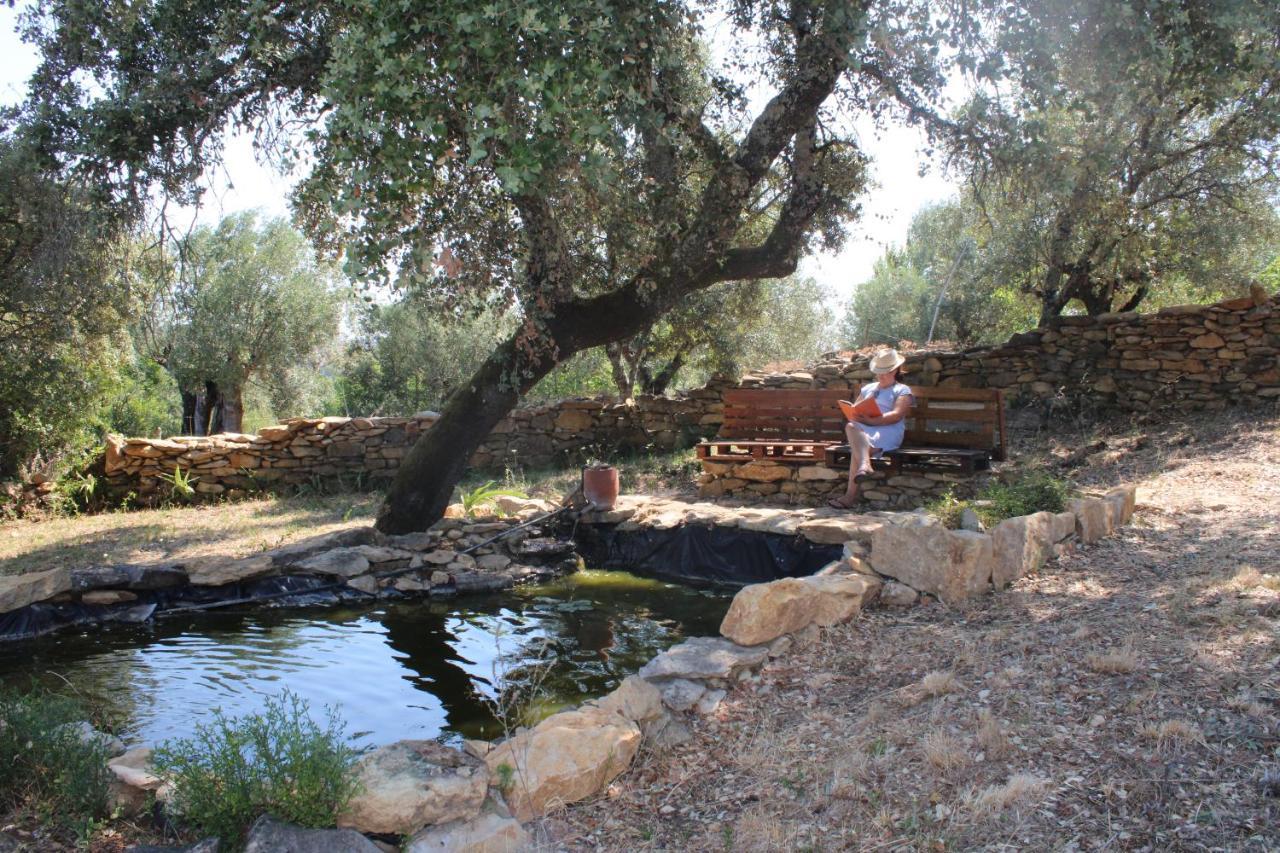 Holiday home Casa Dos Terranhos Tomar