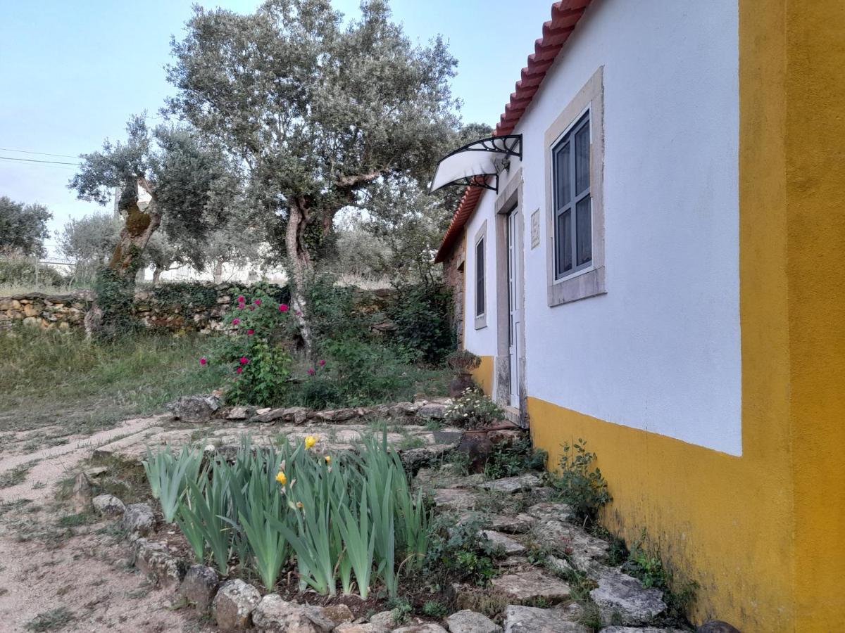 Holiday home Casa Dos Terranhos Tomar