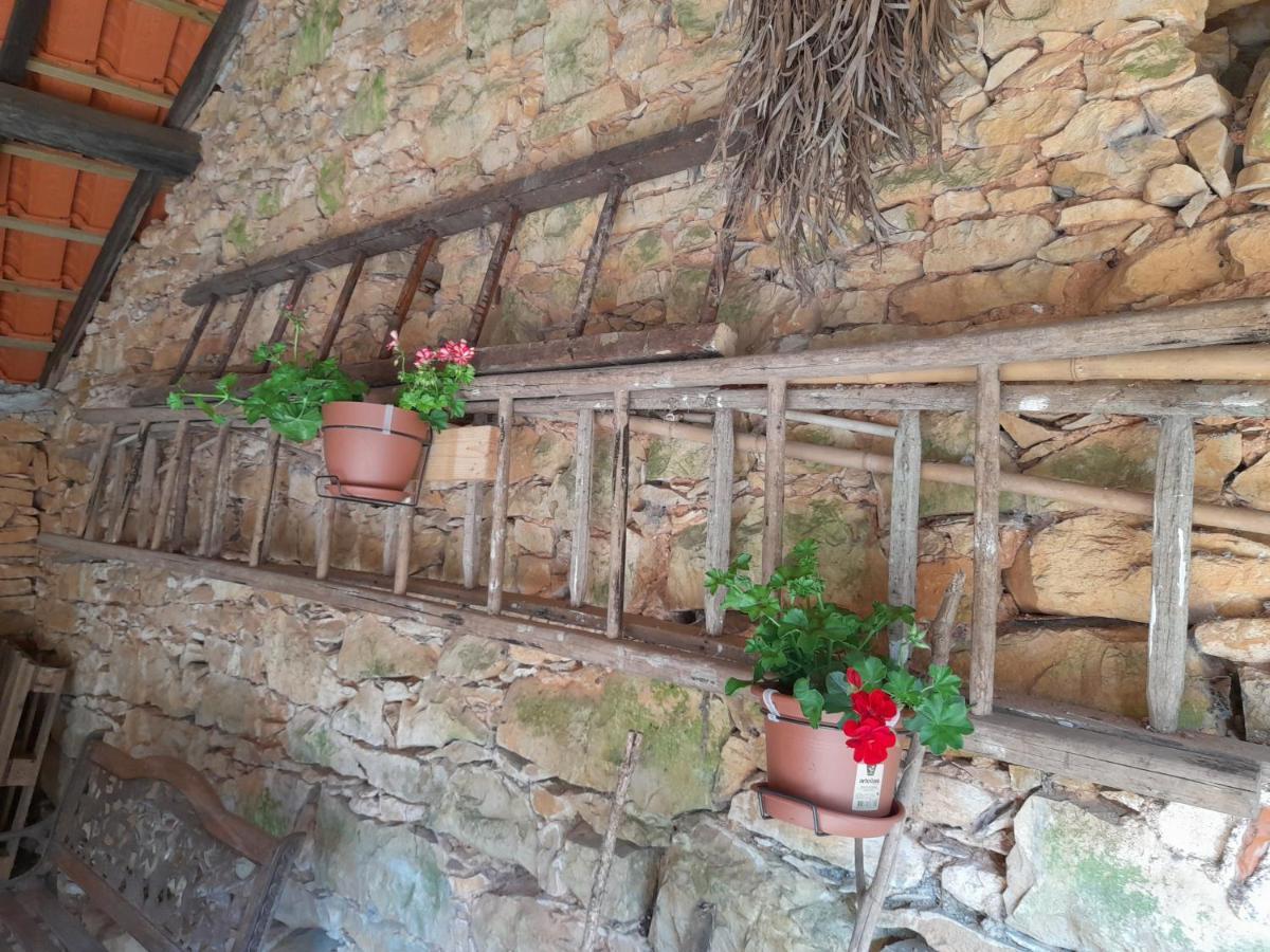 Casa Dos Terranhos